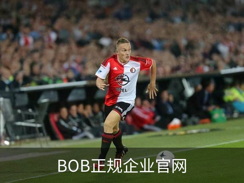BOB正规企业官网概况